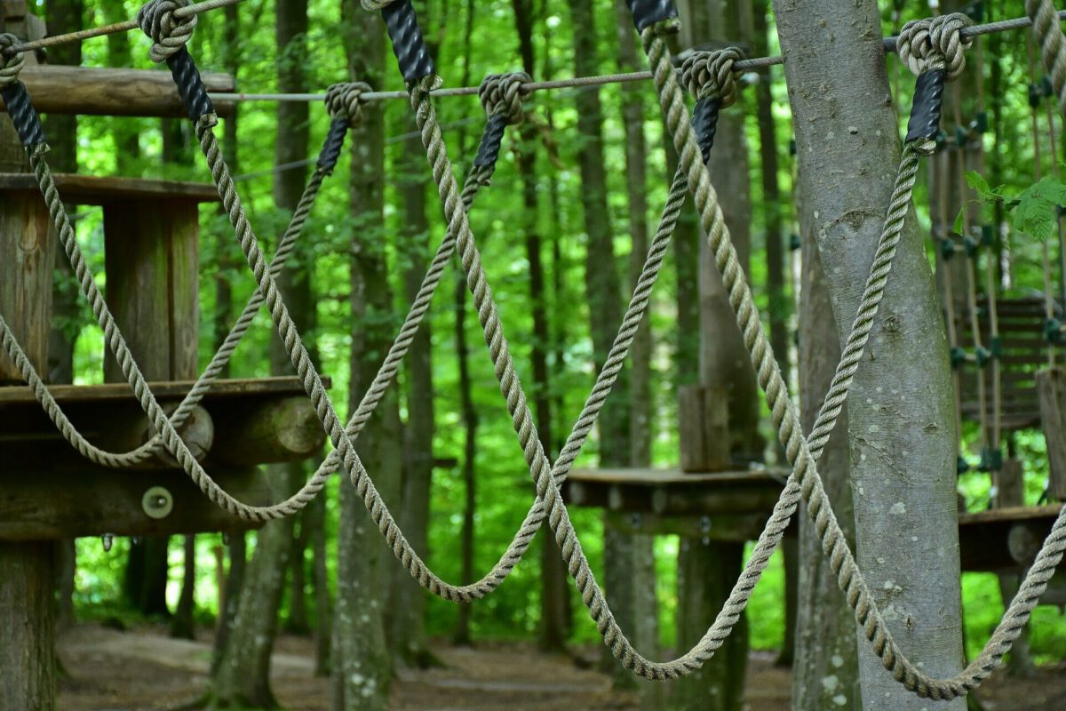 Veranstaltungshinweis: „Hoch hinaus“ im Hochseilgarten Hasloh am 30.07.2021