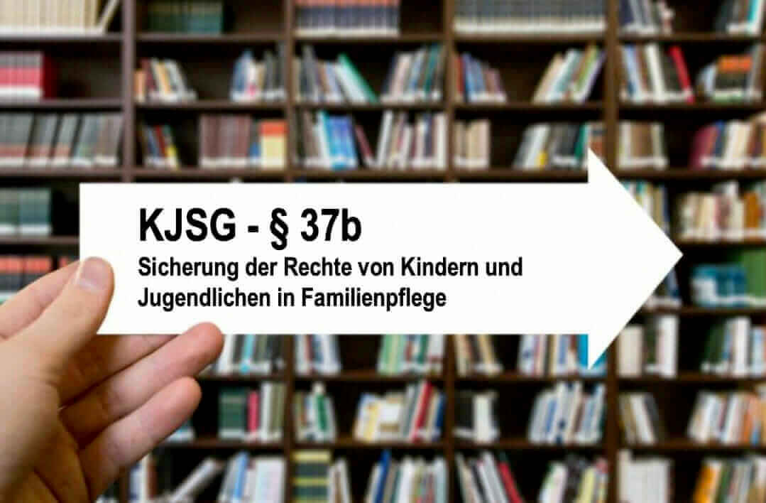 Schutzkonzepte im Pflegekinderwesen (inkl. Aufruf zur Teilnahme)